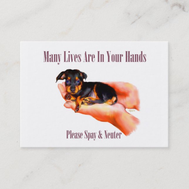 In Your Hands (Please Spay & Neuter) Business Card (Front)