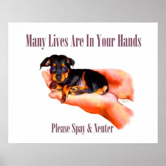 In Your Hands (Please Spay & Neuter) Print (Front)