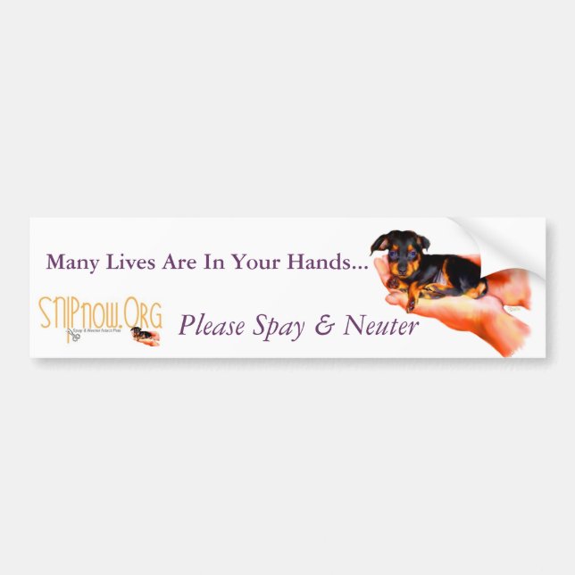 In Your Hands (Puppy) Bumper Sticker (Front)