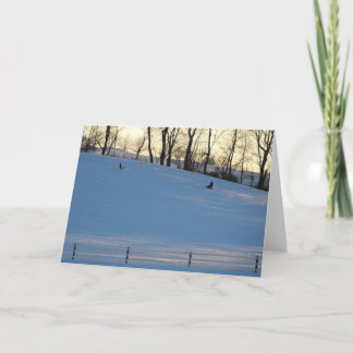 In Your Words ~ 13 Holiday Card