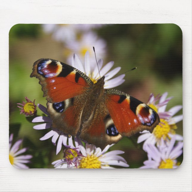 Inachis io mouse mat (Front)