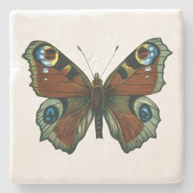 Inachis io - The European Peacock Butterfly Stone Coaster (Front)