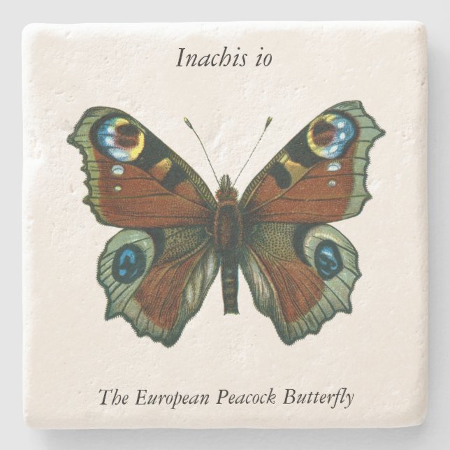 Inachis io - The European Peacock Butterfly Stone Coaster (Front)