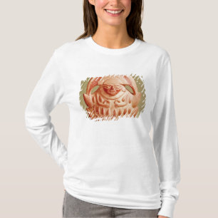 Inca agricultural deity wearing a moon headdress T-Shirt