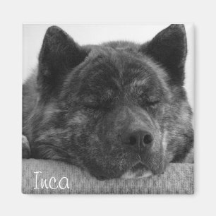 Inca Magnet