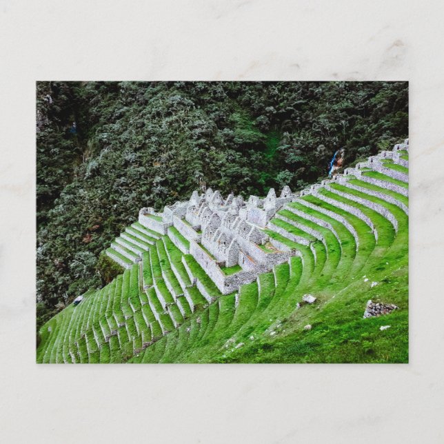 Inca Trail Machu Picchu Peru - Travel Photography Postcard (Front)