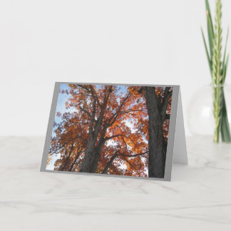 incandescent card