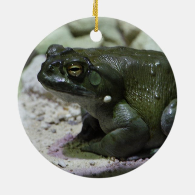 Incilius alvarius ceramic tree decoration (Back)