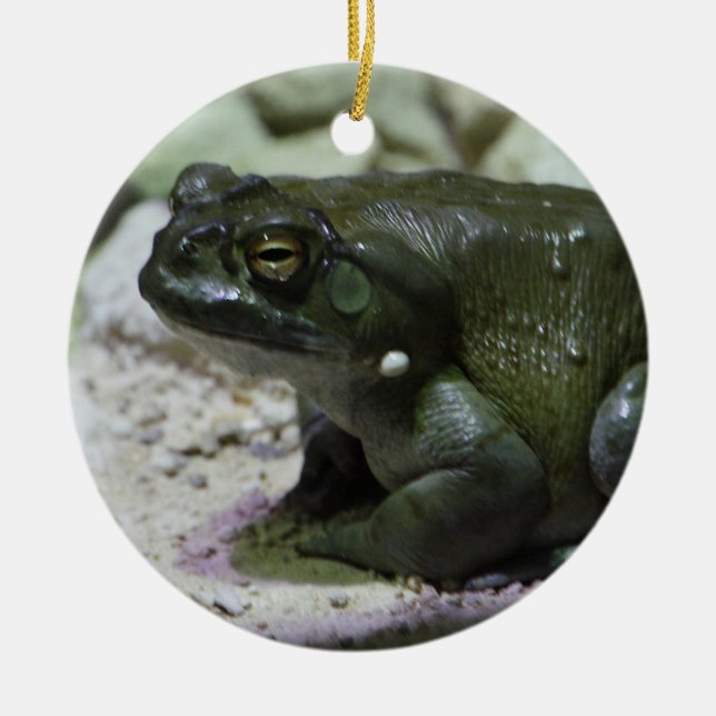 Incilius alvarius ceramic tree decoration (Front)