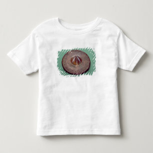 Incised pin head, from Ireland, c.700 BC Toddler T-Shirt