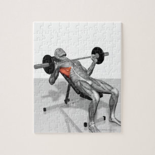 Incline Bench Press 2 Jigsaw Puzzle