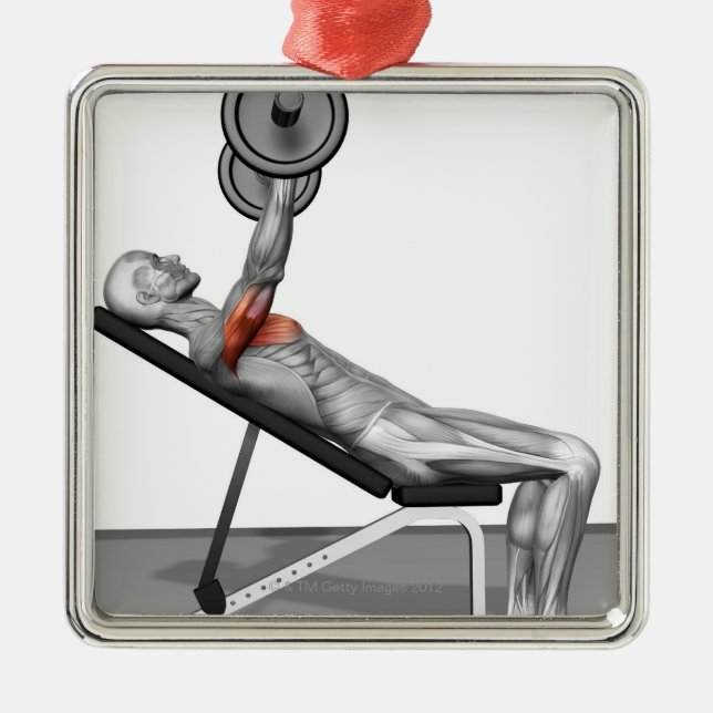 Incline Bench Press 3 Metal Tree Decoration (Front)