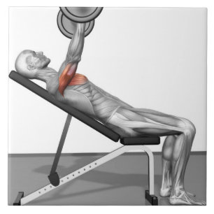 Incline Bench Press 3 Tile