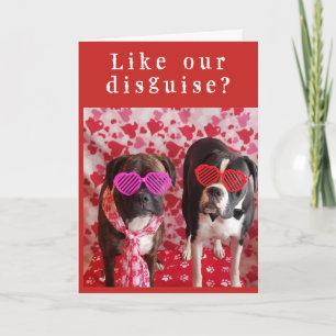**INCOGNITO & SHY** BE OUR VALENTINE? CARD