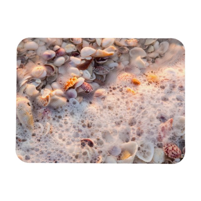 Incoming Surf And Seashells On Sanibel Island Magnet (Horizontal)