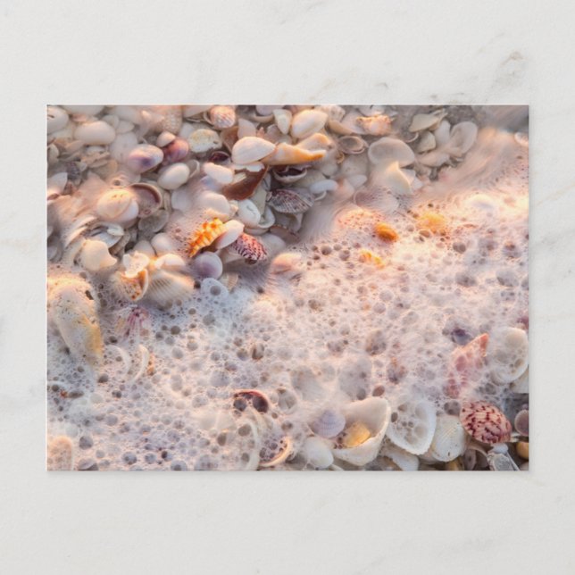 Incoming Surf And Seashells On Sanibel Island Postcard (Front)