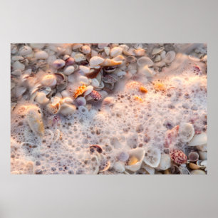 Incoming Surf And Seashells On Sanibel Island Poster