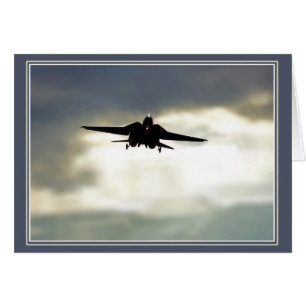 Incoming War Bird