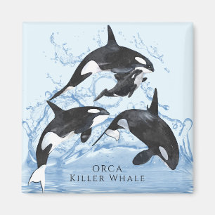 Incredible Black and White Watercolor Orcas Magnet