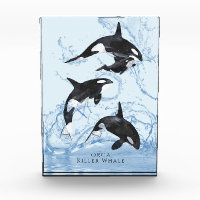 Incredible Black and White Watercolor Orcas