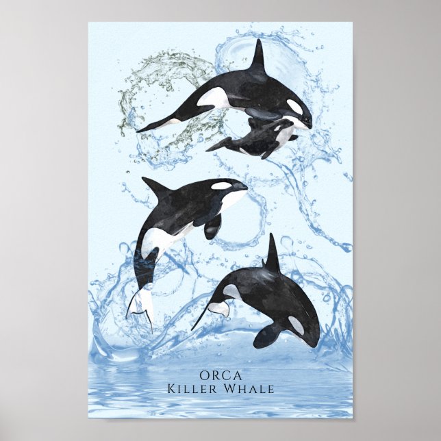 Incredible Black and White Watercolor Orcas Poster (Front)
