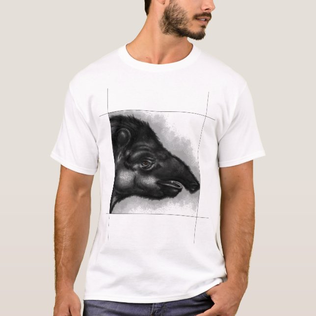 Incredible illustrated t-shirts (Front)
