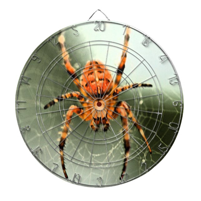 Incredible Spider Dartboard (Front)