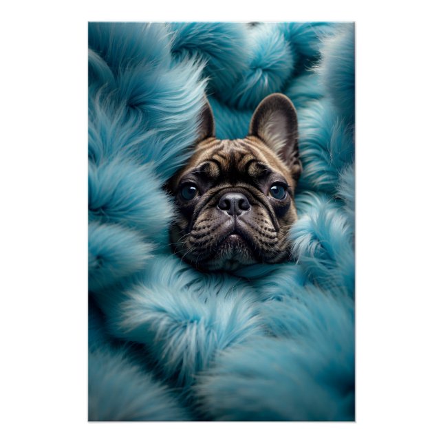 incredibly adorable French Bulldog puppy Poster (Front)