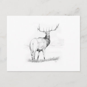 Indecision Postcard