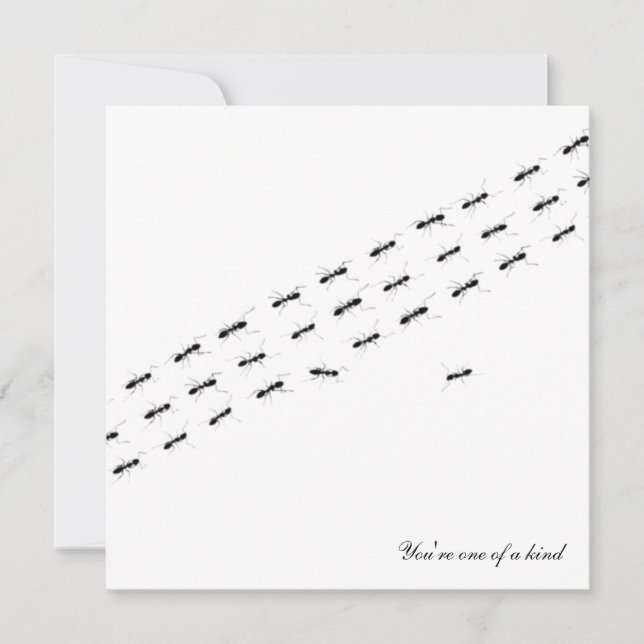 Independant Ants Postcard (Front)