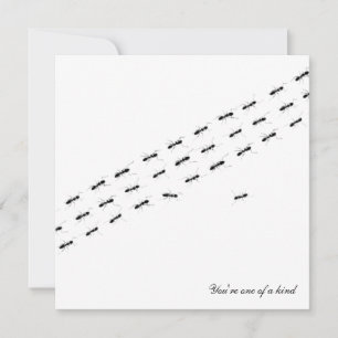 Independant Ants Postcard