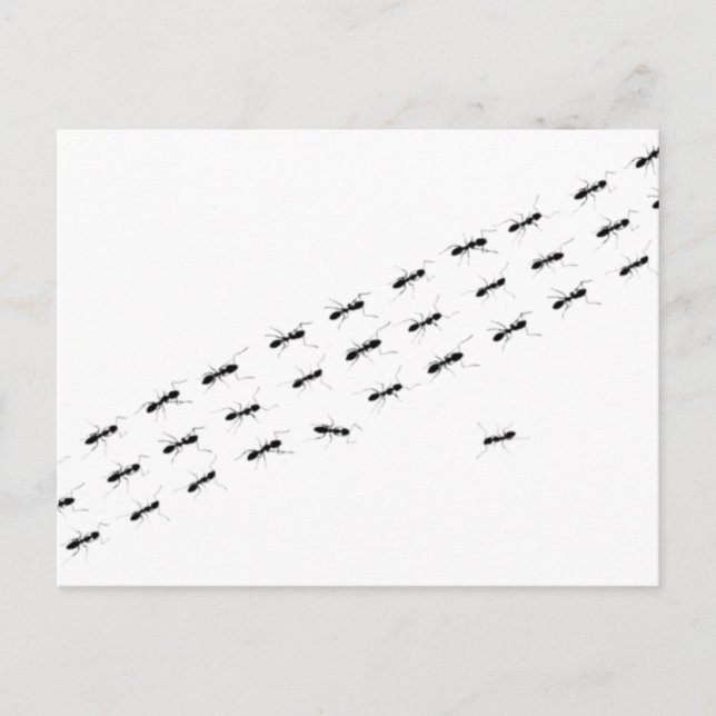 Independant Ants Postcard (Front)