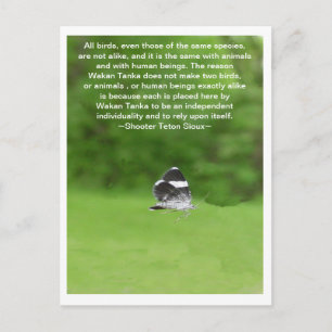Independant Individuality Postcard