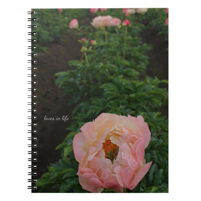 Independant Pink Peony Notebook (Front)