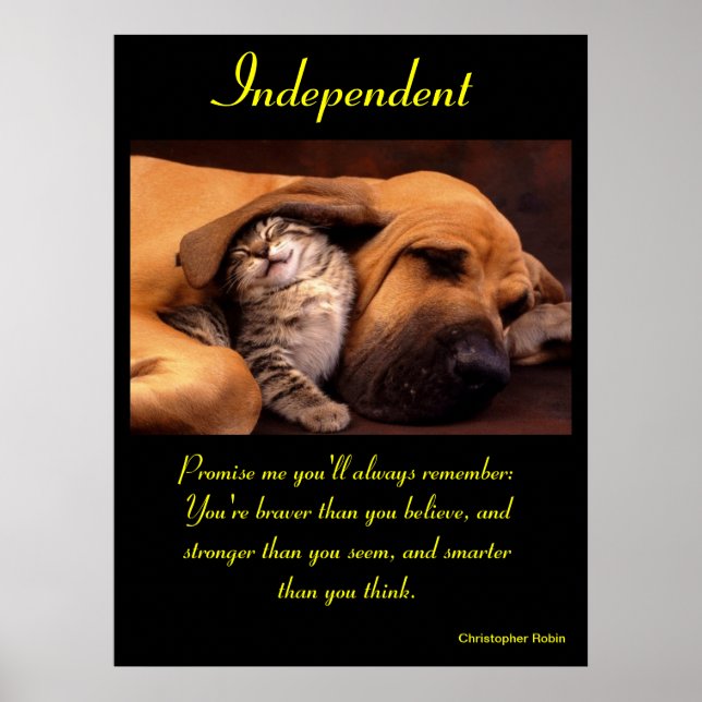 Independant Posters Animal 10 (Front)