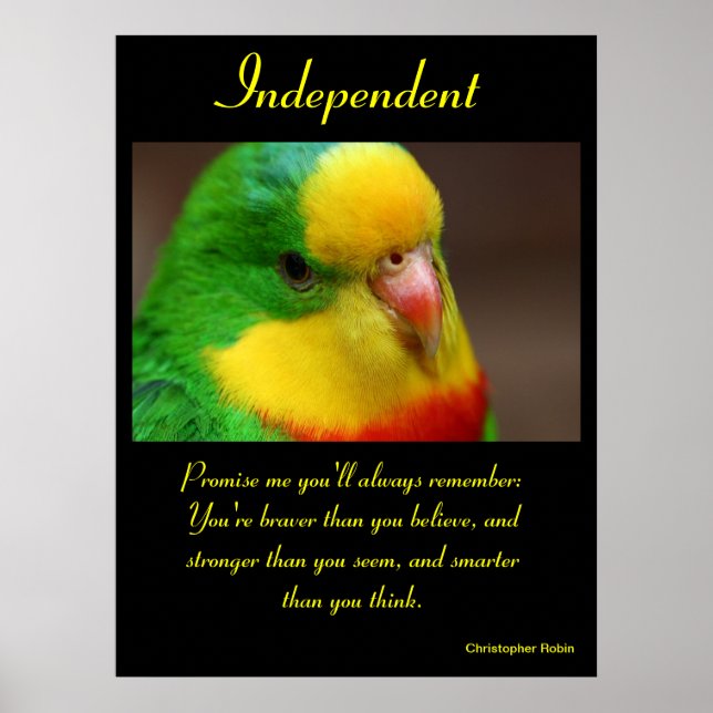 Independant Posters Animal 21 (Front)