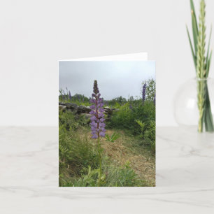Independant Purple Lupine Note Card