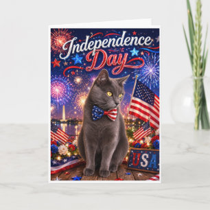 Independence Day Fireworks Cat Greeting Card