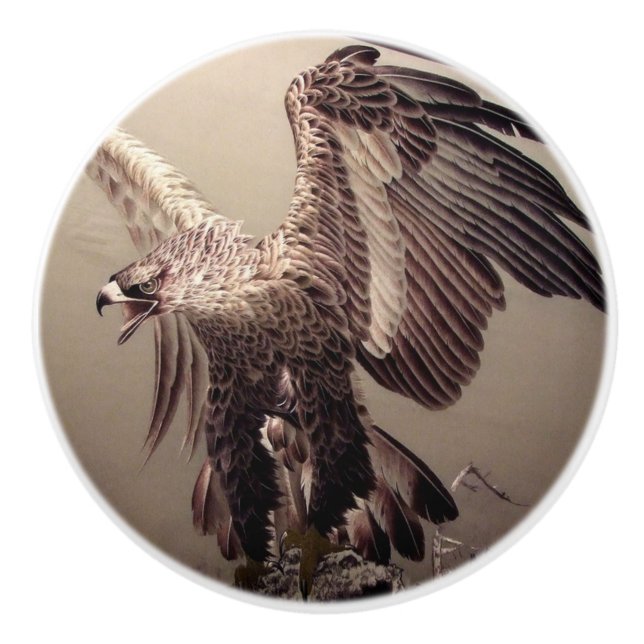 Independence day Patriotic American Eagle Ceramic Knob (Front)