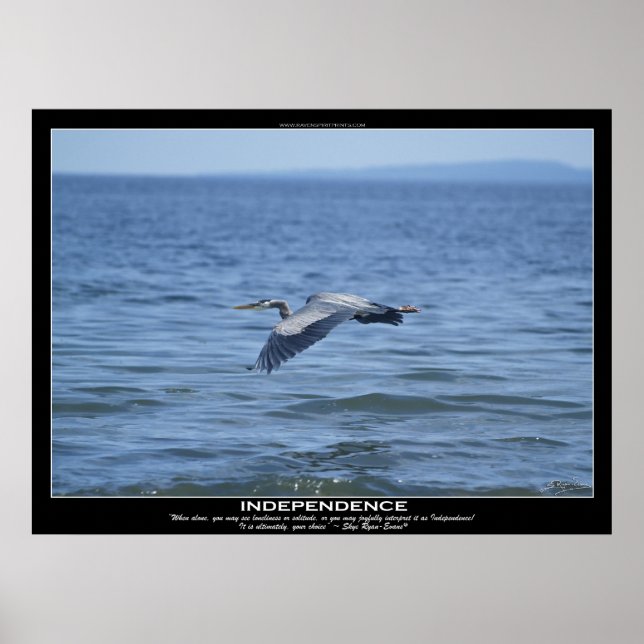 INDEPENDENCE Great Blue Heron Motivational Poster (Front)