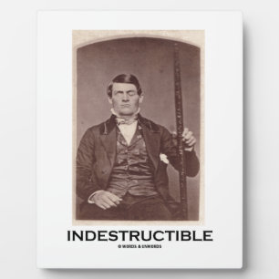 Indestructible (Phineas Gauge) Plaque
