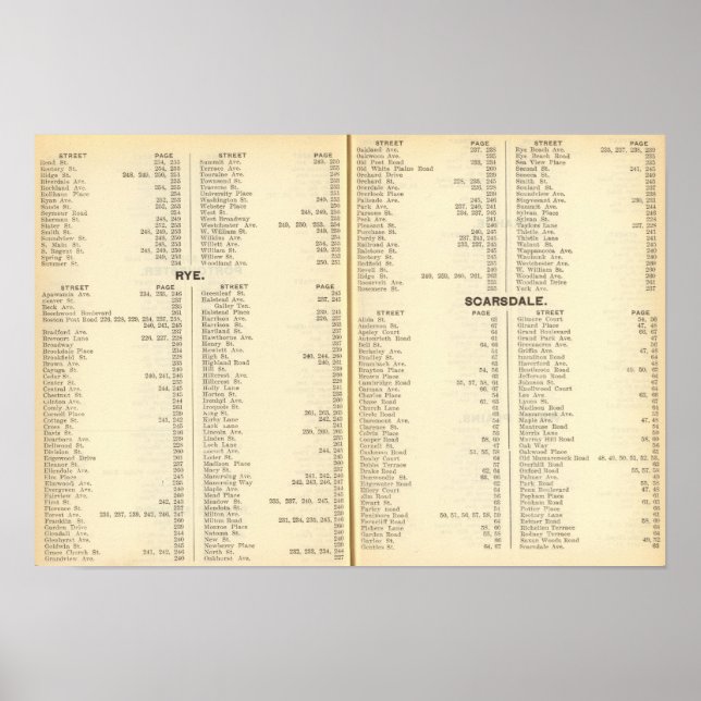 Index Rye, Scarsdale Poster (Front)