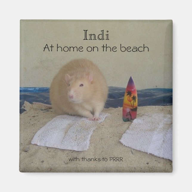 Indi, At home on the beach, with thanks to... Magnet (Front)