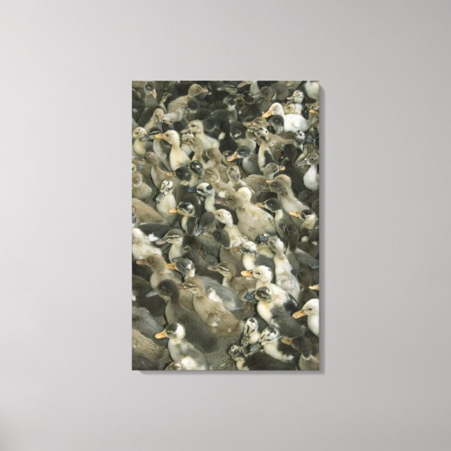 India Canvas Print (Front)