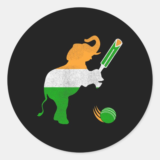 India Cricket 1  Classic Round Sticker (Front)