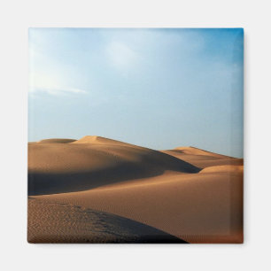 India Desert Magnet