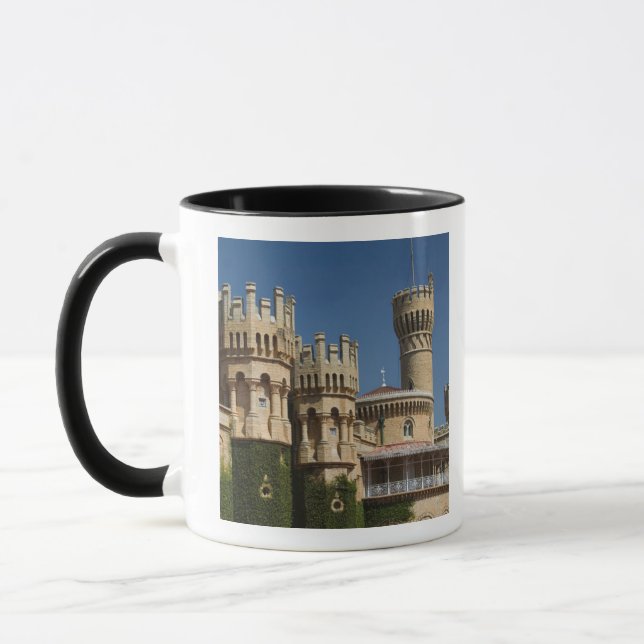 INDIA, Karnataka, Bangalore: Bangalore Palace Mug (Left)