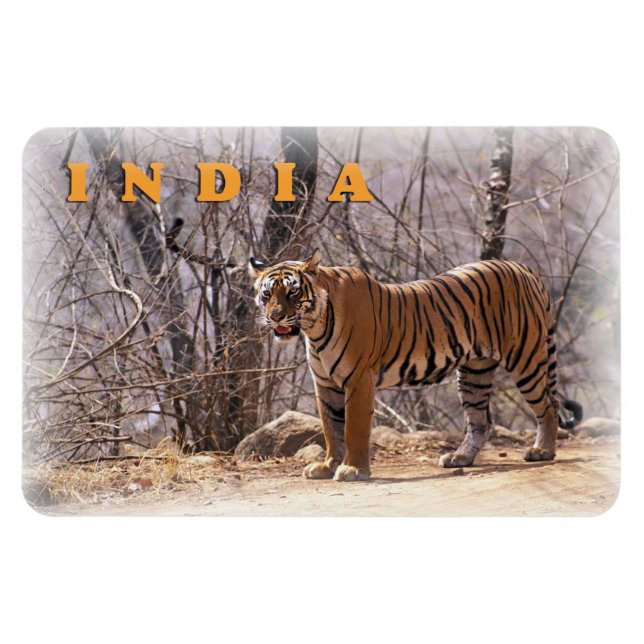 India Magnet (Horizontal)