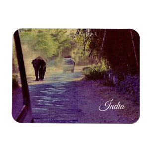 India Magnet