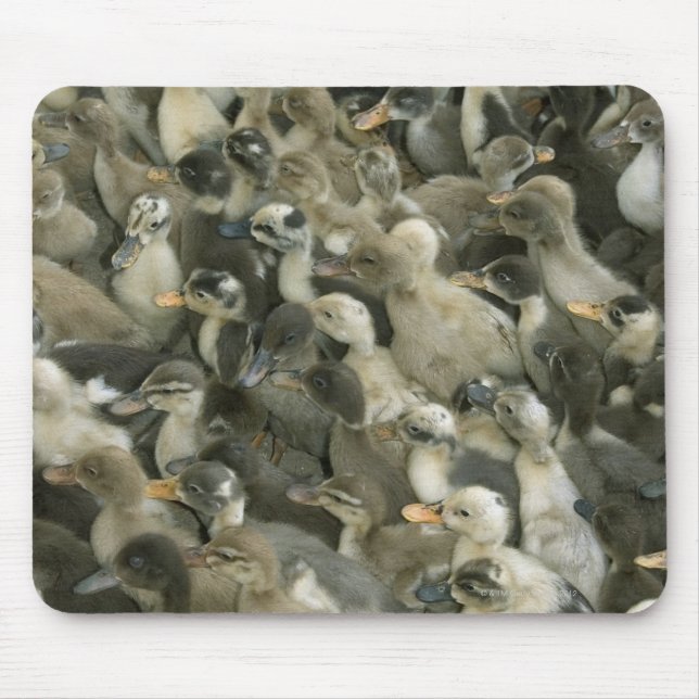 India Mouse Mat (Front)
